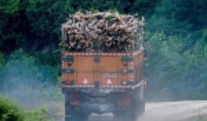 گلستان/ ضرب و شتم نیروهای منابع طبیعی گرگان توسط قاچاقچیان چوب