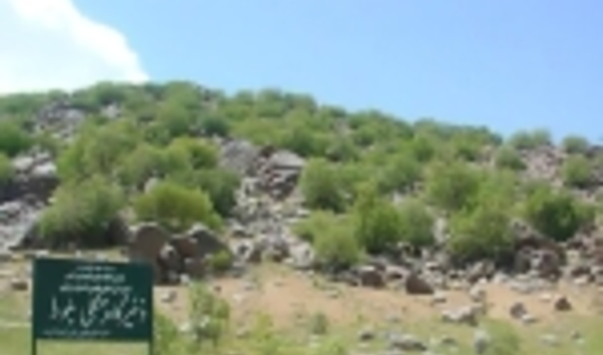 مرکزی/تامین آب ذخیره‌گاه بلوط شازند نیازمند توجه ویژه سازمان مدیریت