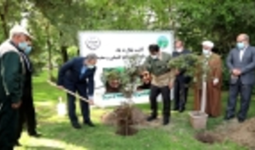 دو اصله نهال بیاد دو خبرنگار 