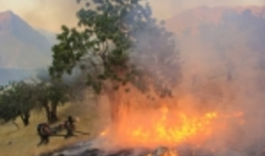 خطر وقوع حریق در جنگل‌های ایلام/۸۹ نقطه مستعد آتش شناسایی شد