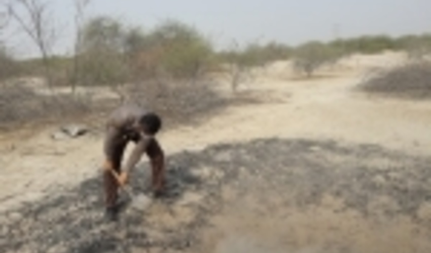 کشف و تخریب یک باب کوره ذغال غیر مجاز در منطقه دهنو شهرستان بندرعباس