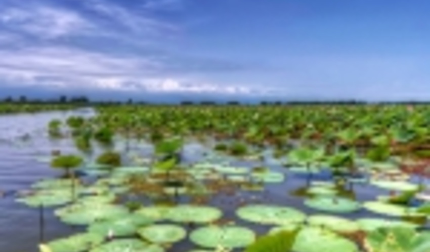 تالاب‌ها ثروت عمومی کشورهستند