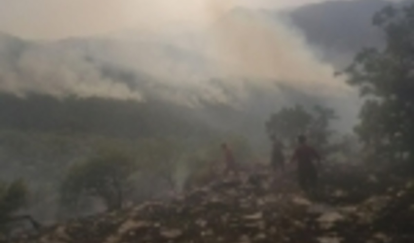 کردستان/آتش‌سوزی در جنگل‌های مریوان مهار شد