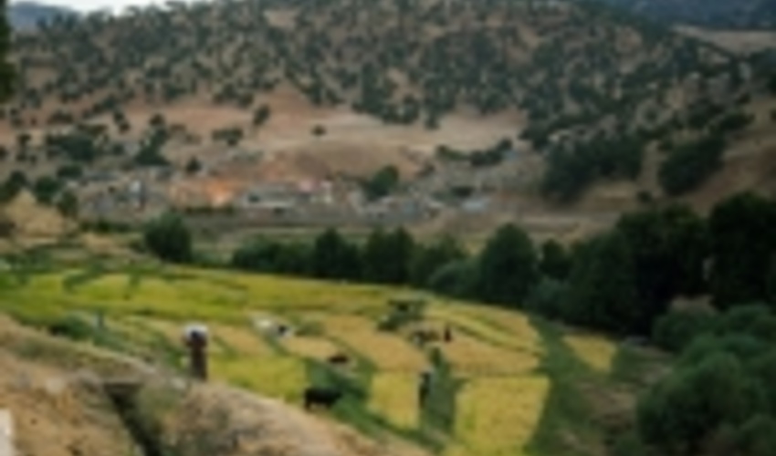 هفت میلیارد ریال برای حفاظت از منابع طبیعی آذربایجان غربی اختصاص یافت