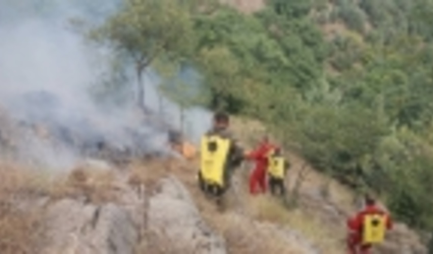 آتش سوزی جنگل‌های گالیکش با هفت مصدوم اطفا شد