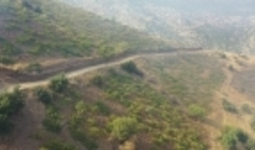  ۱۲ هکتار از عرصه های طبیعی سنندج رفع تصرف شد