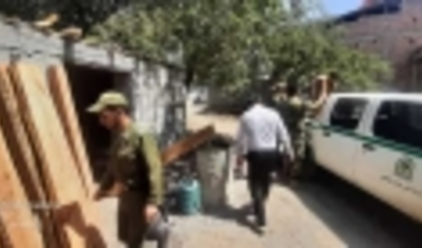 کشف 92 اصله الوار قاچاق جنگلی در استان اردبیل