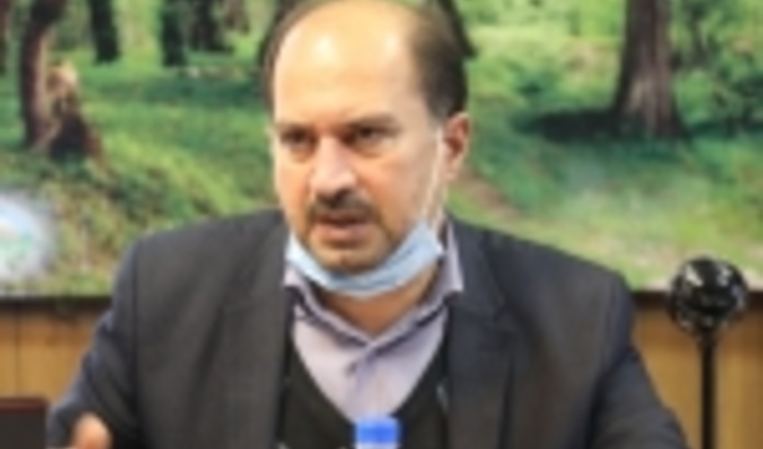 کارگروه تشدید مبارزه با قاچاق چوب شمال کشور تشکیل می شود