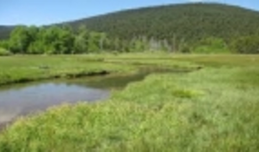 سال ۱۴۰۰ سال اتمام عملیات ممیزی مراتع استان کرمانشاه خواهد بود