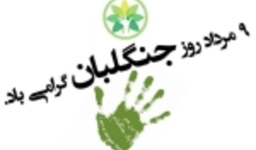 امروز شنبه نهم مرداد ماه روز جهانی جنگلبان است 