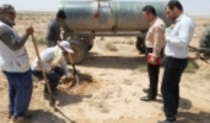 خراسان رضوی/اجرای آبیاری سنواتی ۲۰۰ هکتار اراضی نهالکاری شده شهرستان تربت جام