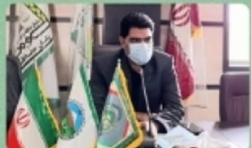 تاکید مدیرکل منابع طبیعی جنوب کرمان بر اجرای ۱۴ طرح زیربنایی تا پایان سال جاری 