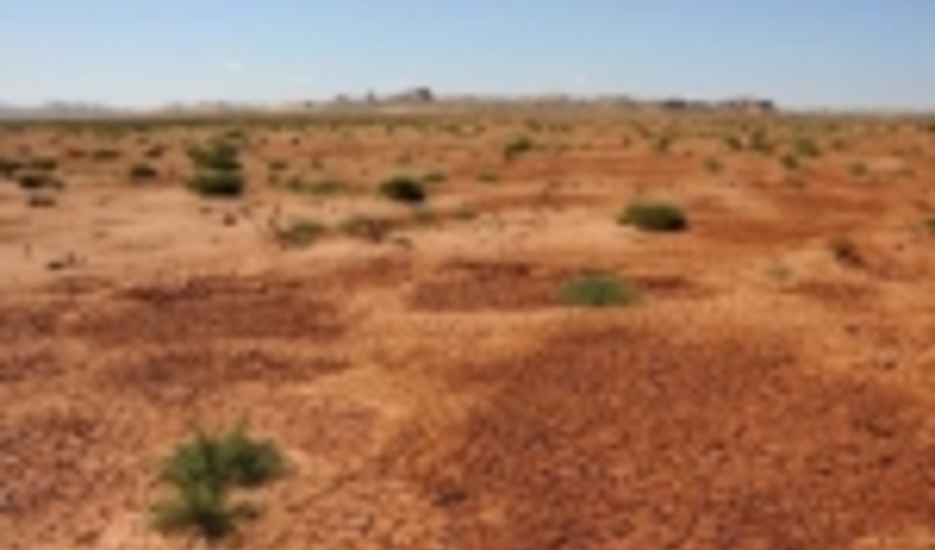 اجرای پایلوت مالچ‌های زیستی در ۳ سایت کشور/روش اقتصادی برای بیابان‌زدایی