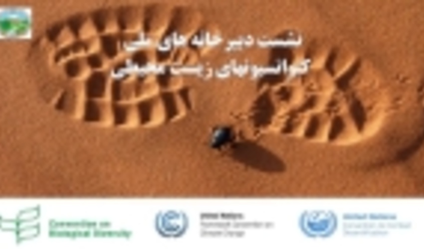  نخستین نشست هماهنگی  دبیر خانه های ملی کنوانسیون های زیست محیطی  در دفتر امور بیابان