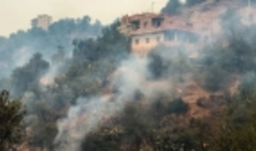 نخست وزیر الجزایر: آتش‌سوزی جنگل‌های کشور، عمدی و جنایتکارانه است