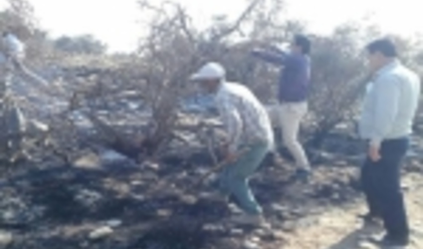 دادستان مرکز فارس: عاملان آتش‌سوزی جنگل‌ها مجازات می‌شوند