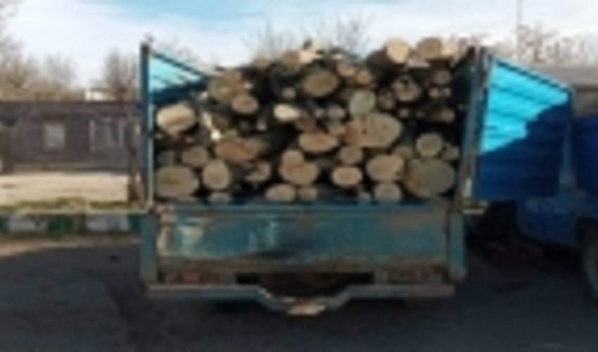 کشف 2.5 تن چوب جنگلی قاچاق در خلخال