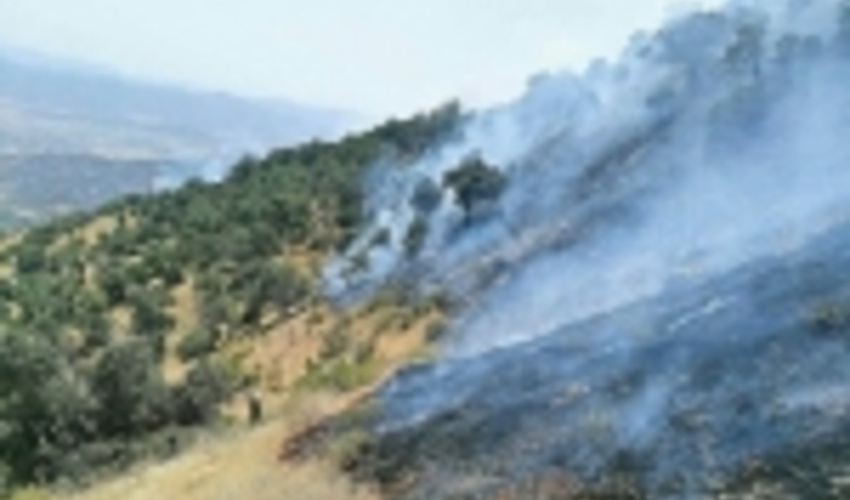 Reduction of 50% in Wildfires in Natural Resources Compared to the Same Period Last Year