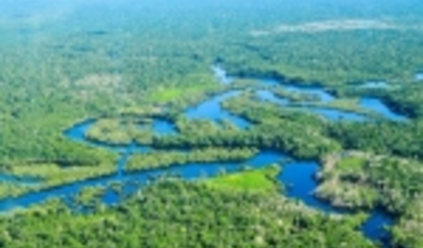 Management of world’s forests must be water-centred