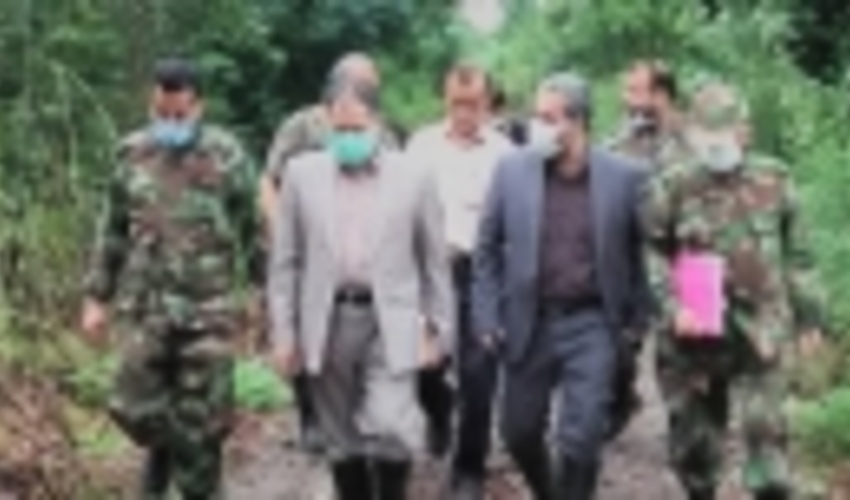 گیلان / برخورد قاطع دستگاه قضا با سودجویان جنگل فتاتو خمام