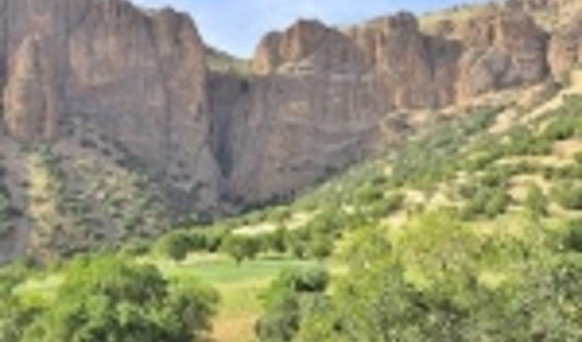 طرح توسعه در بیش از پنج هزار هکتار از جنگل‌های اصفهان اجرا شد