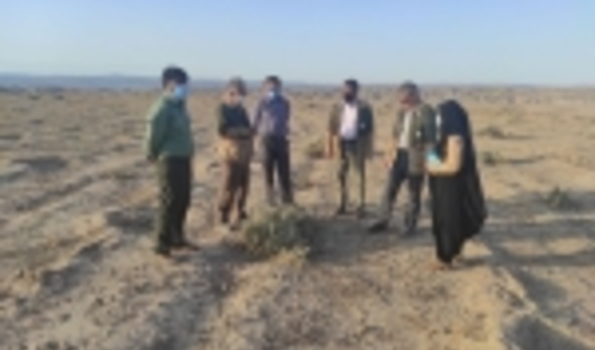 گلستان/بازدید مدیرکل از پروژه های آبخیزداری شهرستان مراوه تپه