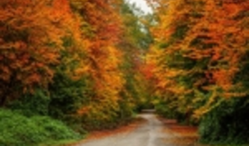 مهر دیدی که به برهم زدن چشم رسید؟!