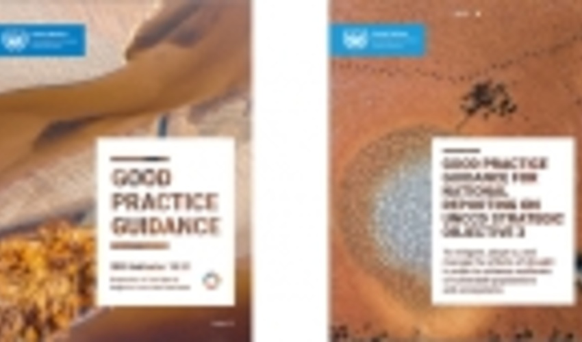 UNCCD unveils new guidance on land degradation and drought reporting
