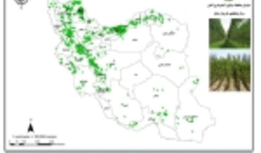 مبنای کار در انجام  پروژه های منابع طبیعی، دارا بودن نقشه های مکان محور است