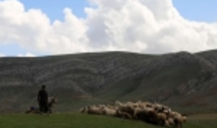 خراسان شمالی/طرح مرتعداری در سطح 6 هزار و ۶۰۶ هکتار از مراتع شیروان تهیه شد