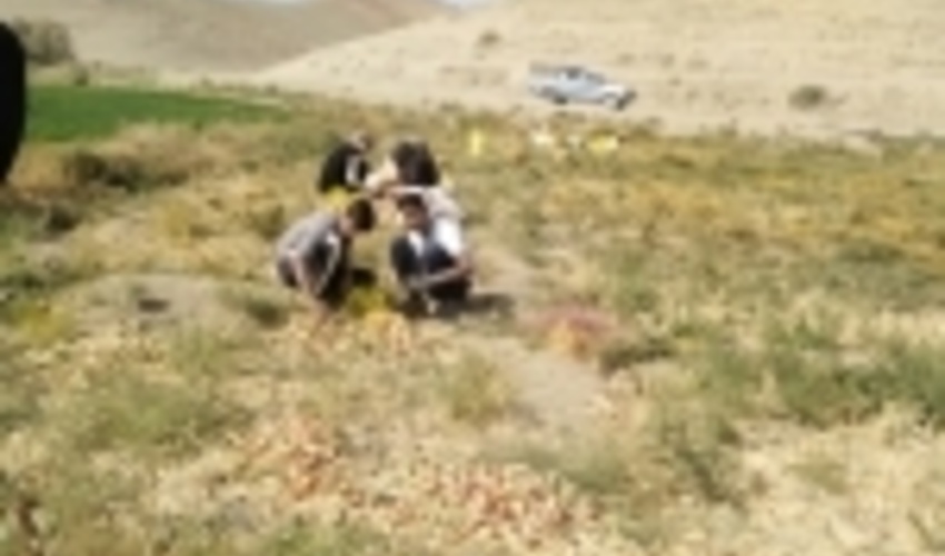 خراسان رضوی/طعم شیرین روستای کرناوه شهرستان کلات با عملکرد مثبت سد زیر زمینی 