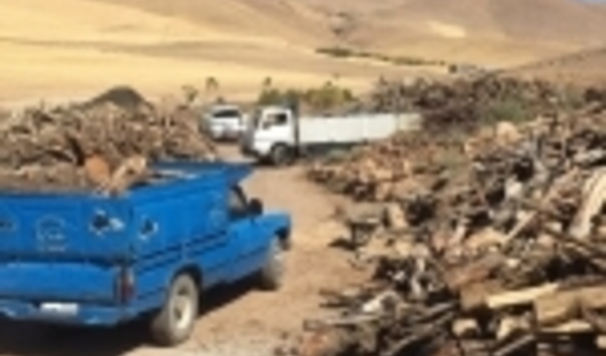 کردستان/ ۱۲۵ پرونده برای متخلفان تخریب و تصرف مراتع در سقز تشکیل شد