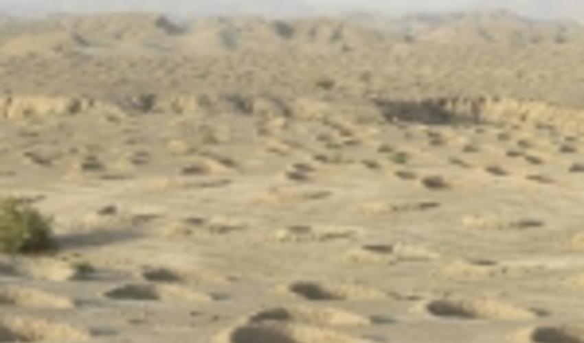 ایلام/کاشت ۲۱ هزار اصله نهال در عرصه های بیابانی آبدانان