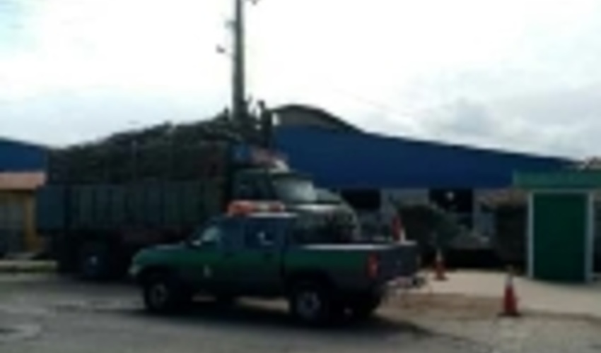 کشف چوب آلات قاچاق در شهرستان فومن