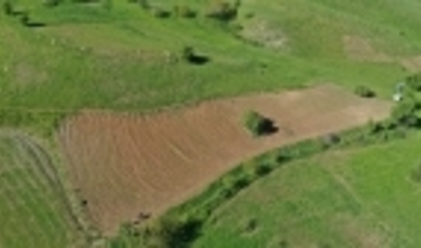 ۳۲۶ هکتار از عرصه‌های طبیعی کردستان رفع تصرف شد