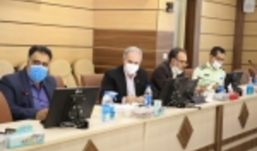 ایلام از استان‌های پیشرو در زمینه جنگل کاری