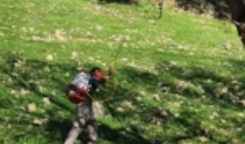 خوزستان/خط بطلان گال زنبوری بر شیوع سرطان در جنگل‌های زاگرس