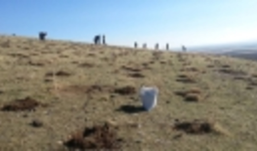 60 درصد مراتع چهارمحال و بختیاری از لحاظ پوشش گیاهی فقیر است