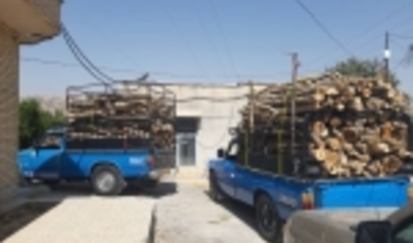 قاچاق چوب بلای جان جنگل های کهگیلویه و بویراحمد