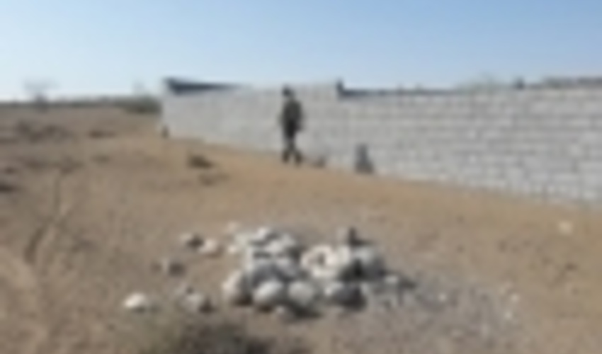 هرمزگان/گشت زنی و حفاظت از اراضی ملی و طبیعی درمنطقه گودو از توابع بخش تخت شهرستان بندرعباس