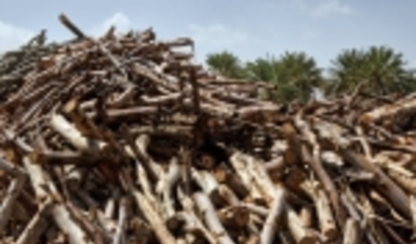 اقدامات حفاظتی منابع طبیعی گیلان ضربتی شد