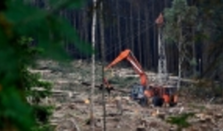 Leaders of more than 100 countries pledge to end deforestation by 2030