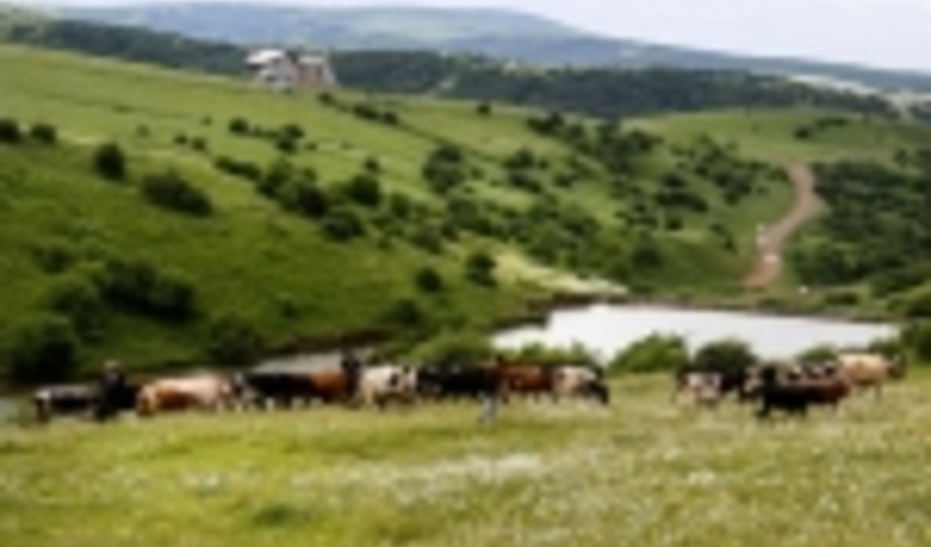 آزادسازی ۴۷۹ هکتار از عرصه‌های طبیعی اصفهان