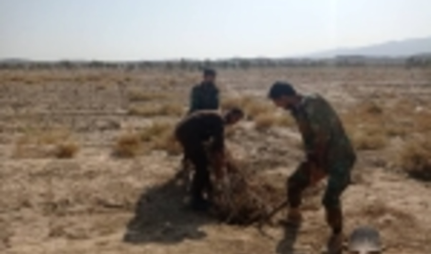 جنوب کرمان/رفع تصرف ۵۸ هزار و ۷۴۶ مترمربع از اراضی ملی شهرستان جیرفت