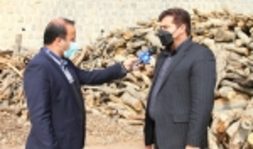  کشف بیش از 100 تن چوب جنگلی قاچاق در اراضی جنگلی فارس