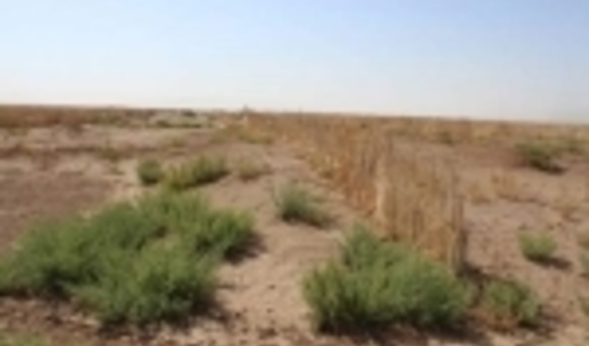 ۴۰ کیلومتر بادشکن در برابر شن‌های روان کویر شهرستان گرمسار ایجاد شد