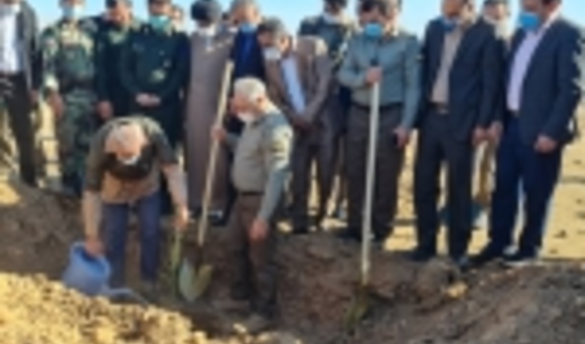 اجرای مراسم نهالکاری در ایلام با حضور معاون امور جنگل