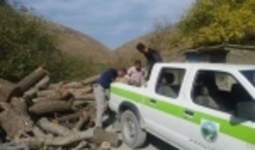 کشف 521 مترمکعب چوب قاچاق در کردستان /مشارکت دوستداران طبیعت در پویش مردمی بذرکاری جنگل ها