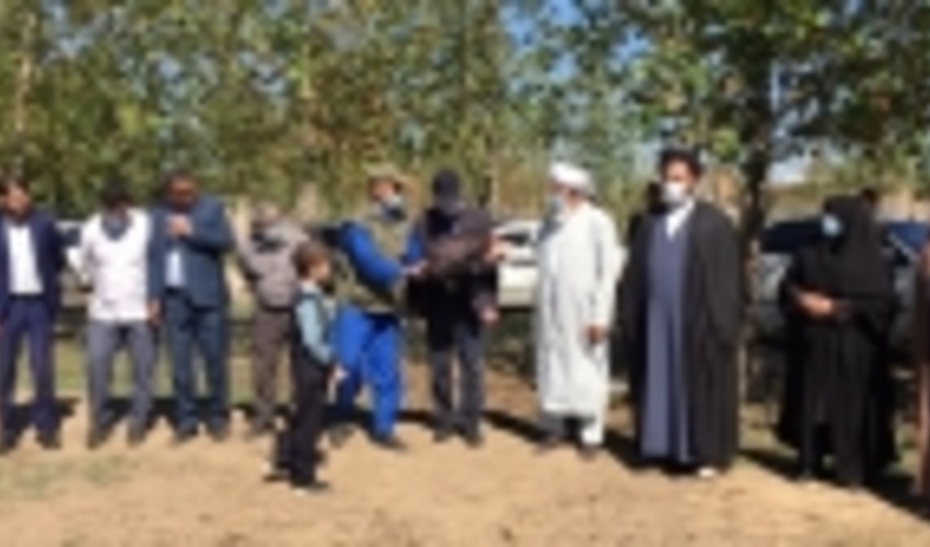 گلستان/ زیتونلی؛ همیار طبیعتی که هزاران نهال غرس کرد 