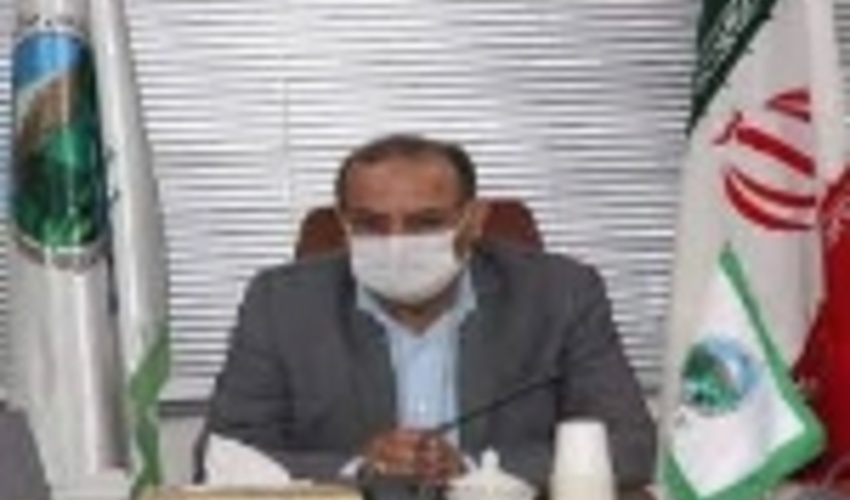 پویش مردمی بذرکاری برای احیای جنگل‌های زاگرس در چهارمحال و بختیاری اجرا می‌شود